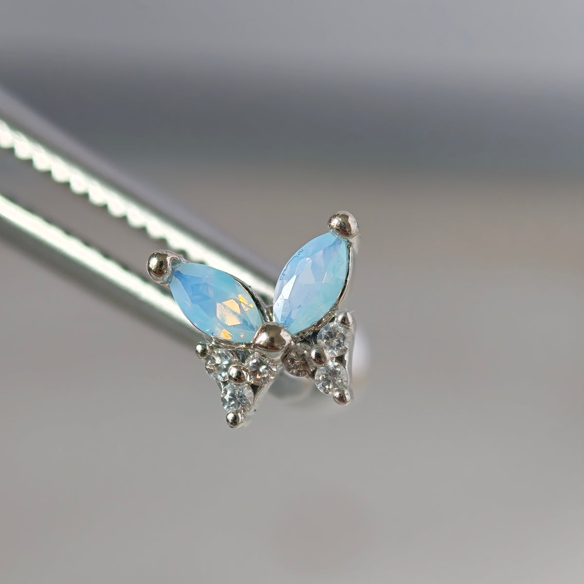 Blue butterfly Ball End - Surgical Stainless Steel